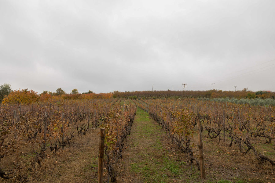 CI6r0ltP_2U4A0415 (1).jpg